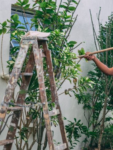 conseils et techniques pour un résultat optimal sur la Peinture sur parpaing
