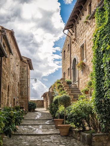 méthodes pour s'en débarrasser du lierre.