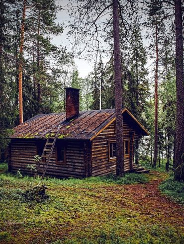 Construction sauvage est l'essor des cabanes rentables